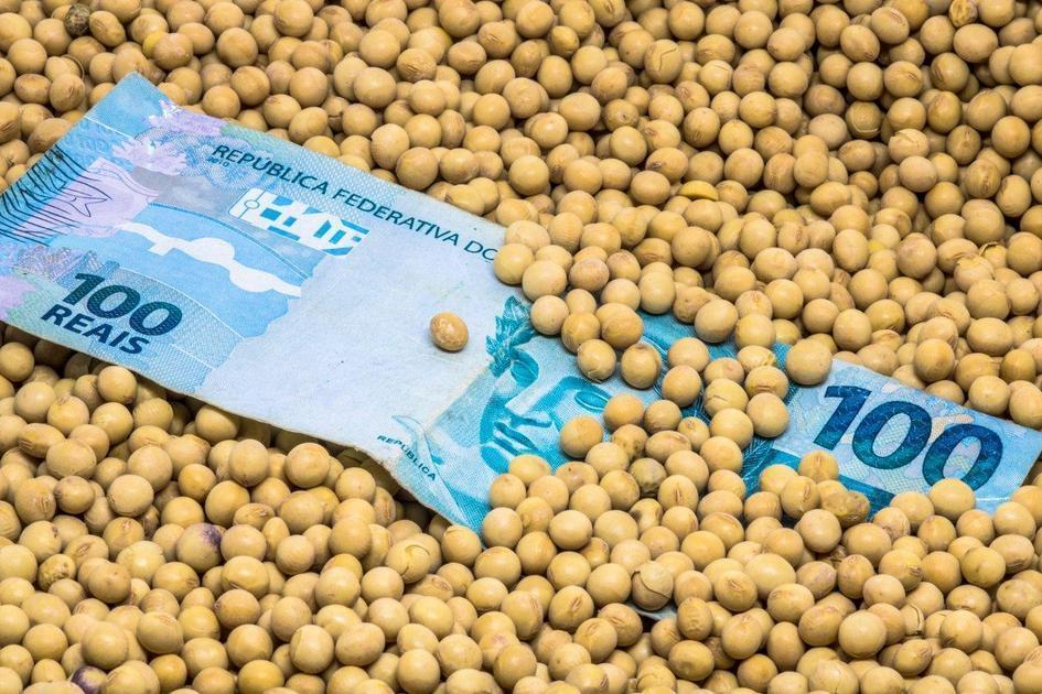 SNFZ11 Paga Dividendos De Julho E Projeta Distribuição Por Cota