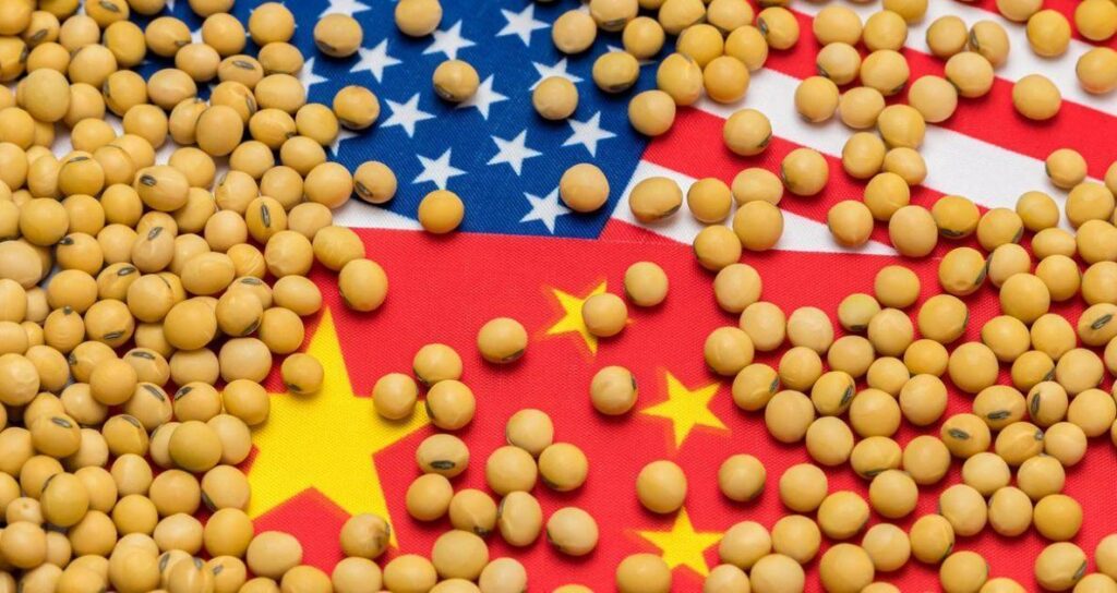 EUA Perdem Bilhões Em Vendas De Soja Para China Na Alta Da Temporada