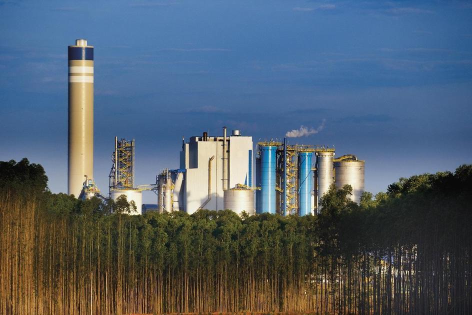 Suzano Anuncia Resgate De Debêntures De R$ 750 Milhões