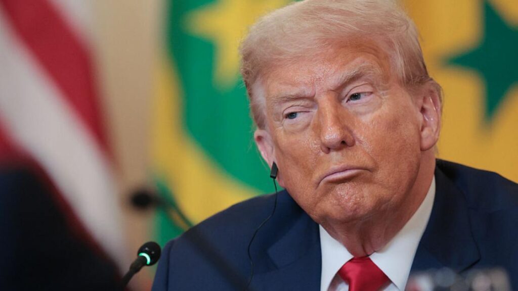 Os Bilhões Invisíveis dos Trumps nas Criptomoedas Revelados