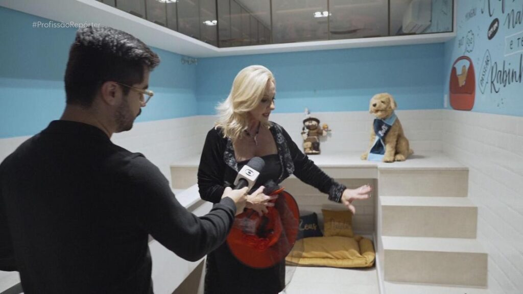 Luxos Exclusivos Em Mansões Milionárias À Venda No Brasil