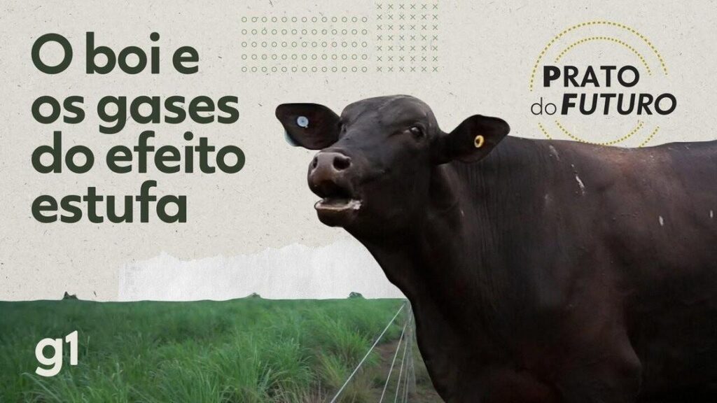 Sistema Guaxupé: Redução da Emissão de Metano na Pecuária
