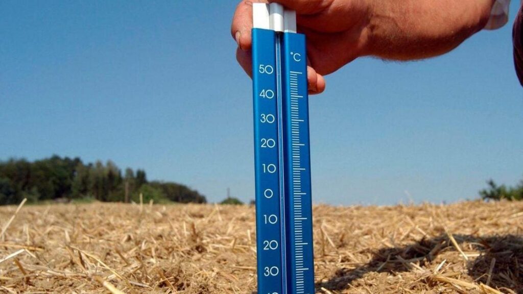 Sucesso das Metas Climáticas Pode Impulsionar R$ 6,7 Trilhões no PIB