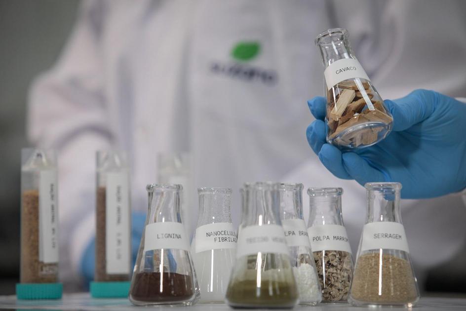 Suzano Reduz Investimento Para R$ 10,9 Bi Em 2026