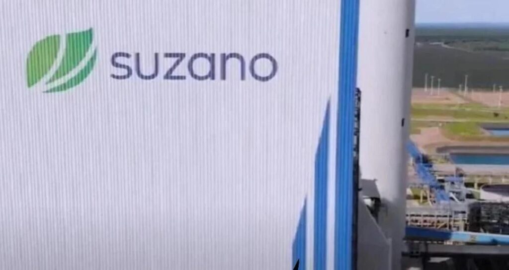 Suzano Suzb3 Anuncia Dividendos E Aumento De Capital