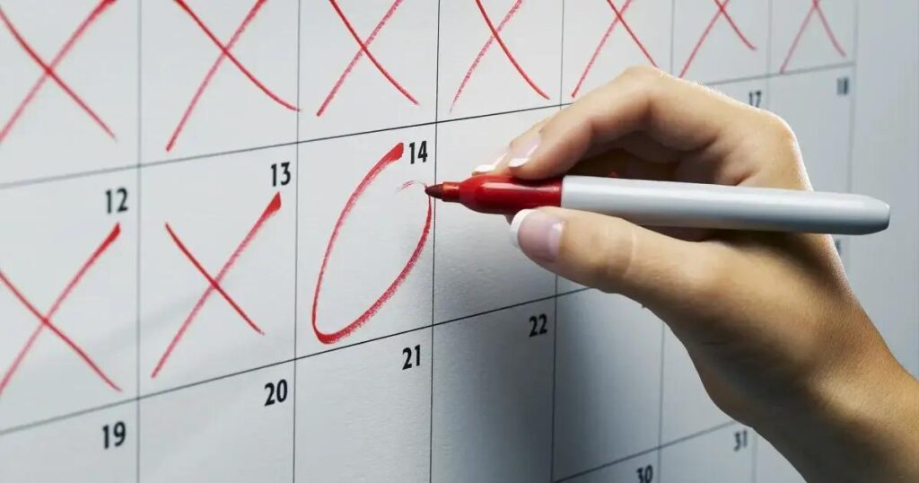 Calendário De Balanços: Expectativas Para WEG, Gerdau, Axia E Mais