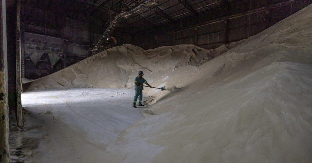 Raízen e os Desafios do Açúcar em Queda e Etanol de Milho