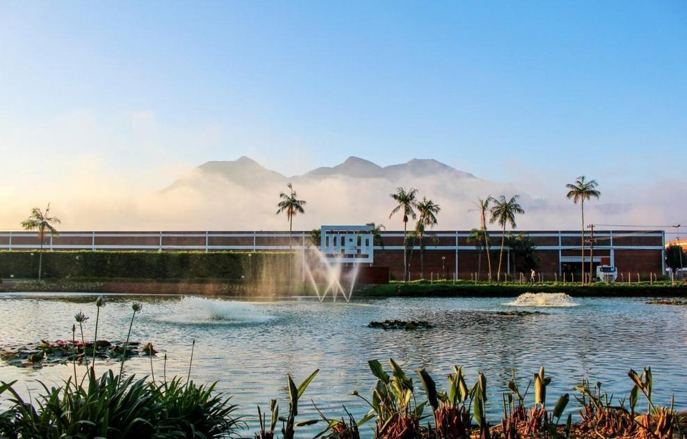 WEG Investimento Revoluciona Indústria De Baterias No Brasil