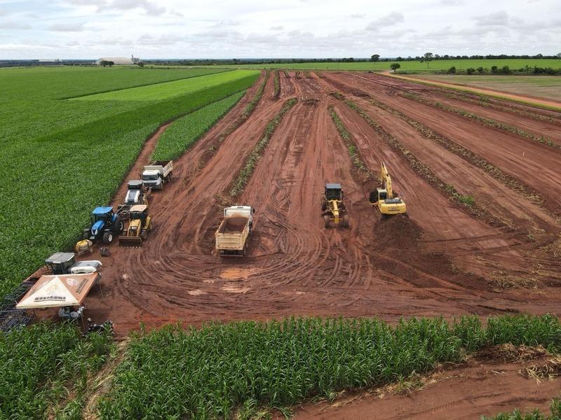 Boa Safra Enfrenta Prejuízo Com Margens Apertadas No Agro