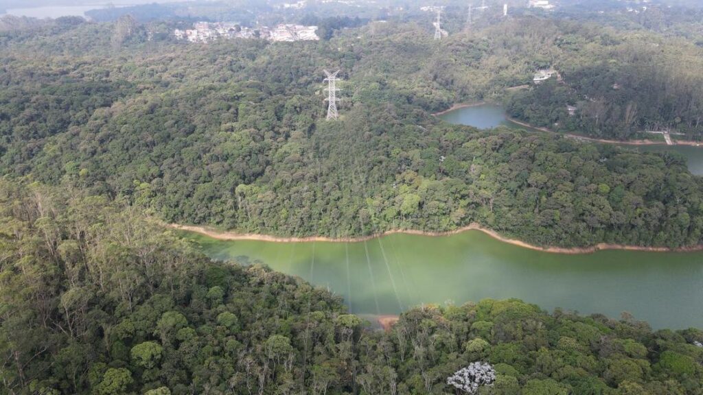 Conselho Da Isa Energia Aprova Plano De Conversão De Ações