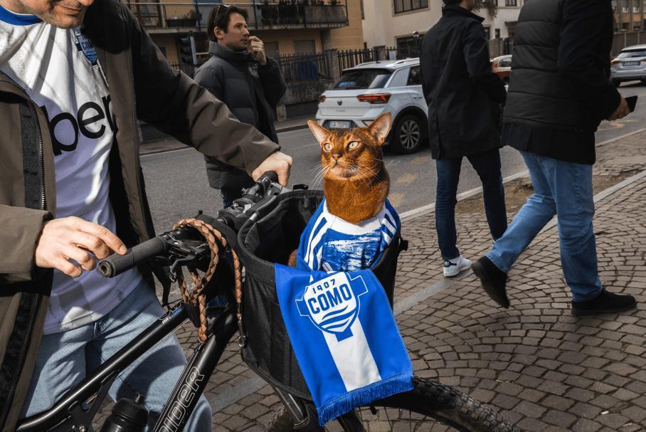 De Falência À Série A: Sucesso Com Donos Bilionários No Futebol Italiano