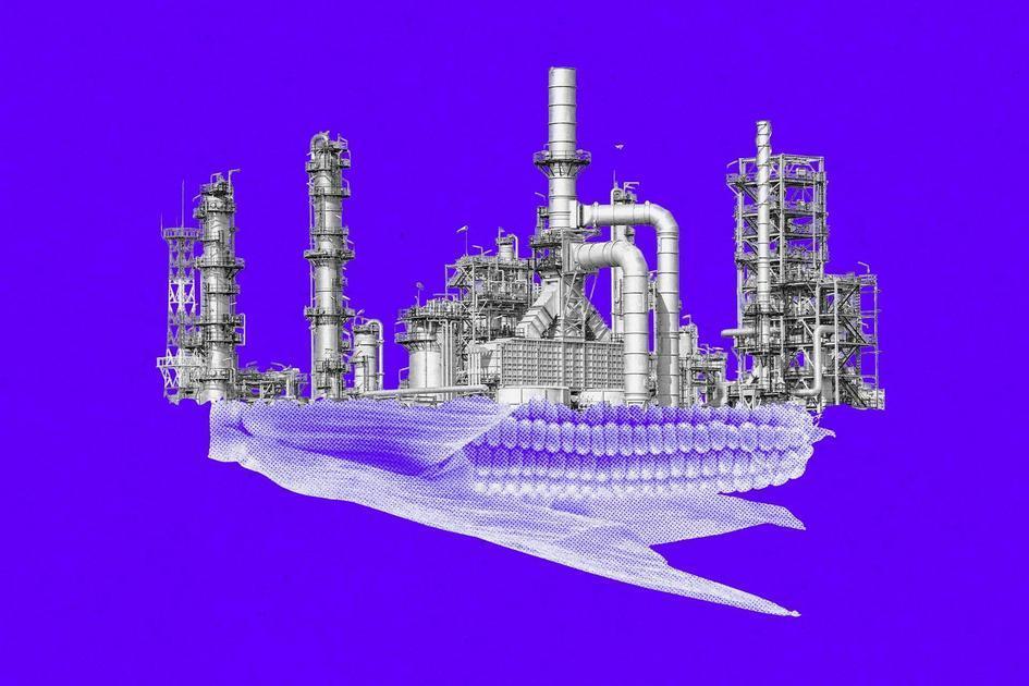 Inpasa Lidera Produção De Etanol De Milho E Expande Negócios