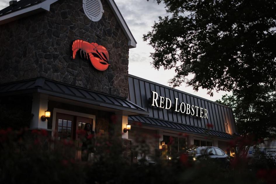 Camarão À Vontade: Red Lobster Resgata Promoção para Atrair Clientes