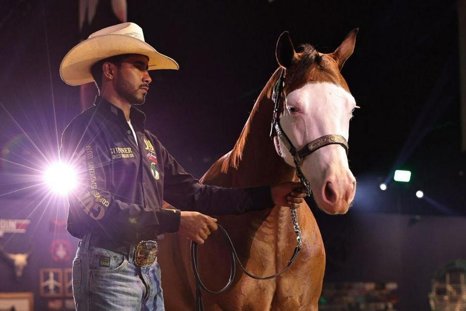 Mercado De Cavalos De Elite Em Goiás: Crescimento E Lucro