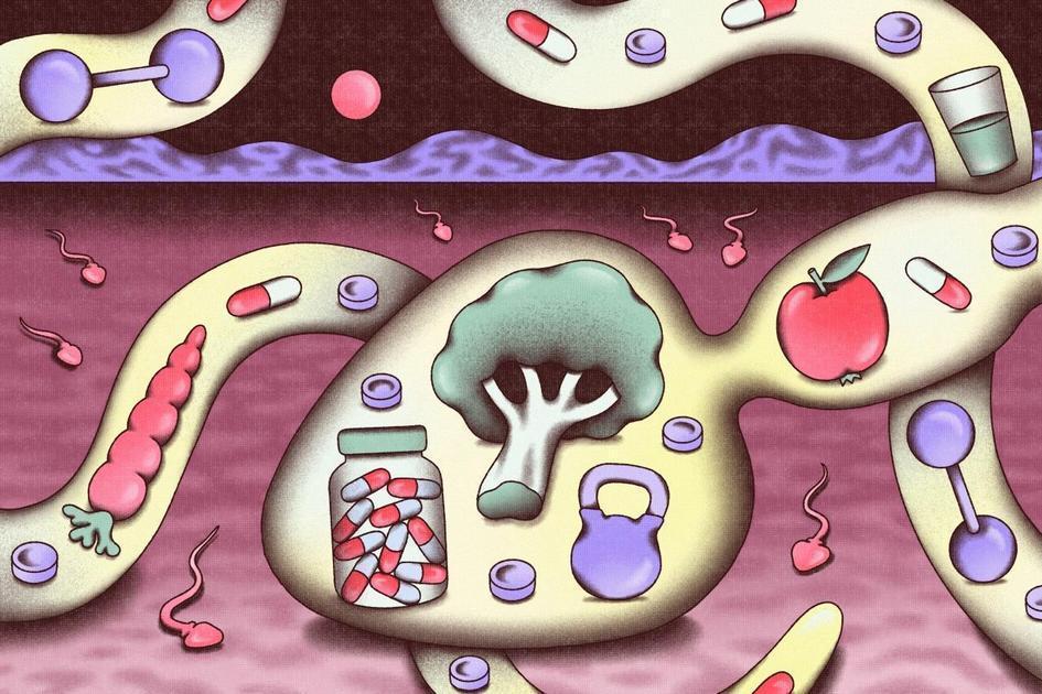 Saúde Do Esperma: Tendência Que Revoluciona O Mercado Masculino