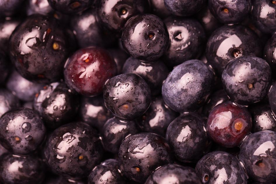 The Best Açaí e Seus Planos Para Dominar o Mercado Nos EUA
