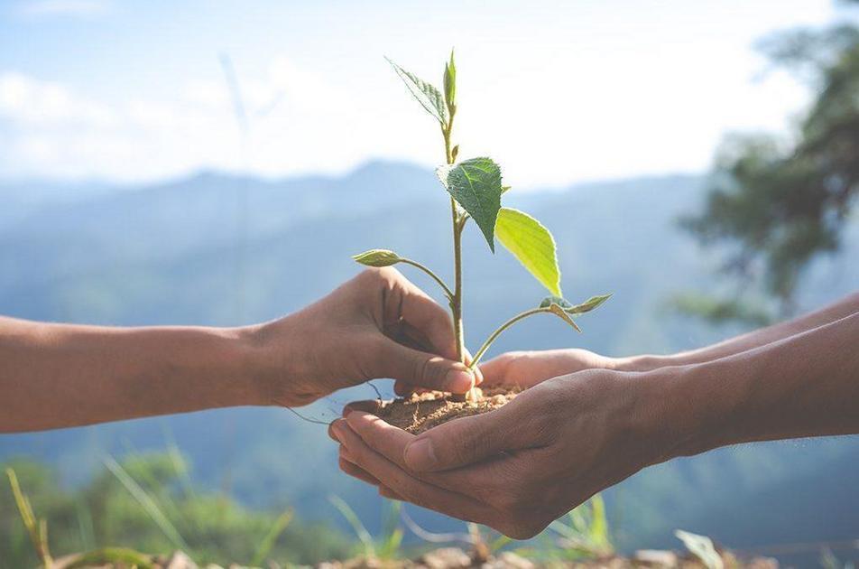 B3 Apresenta Nova Carteira Do Índice De Sustentabilidade Empresarial